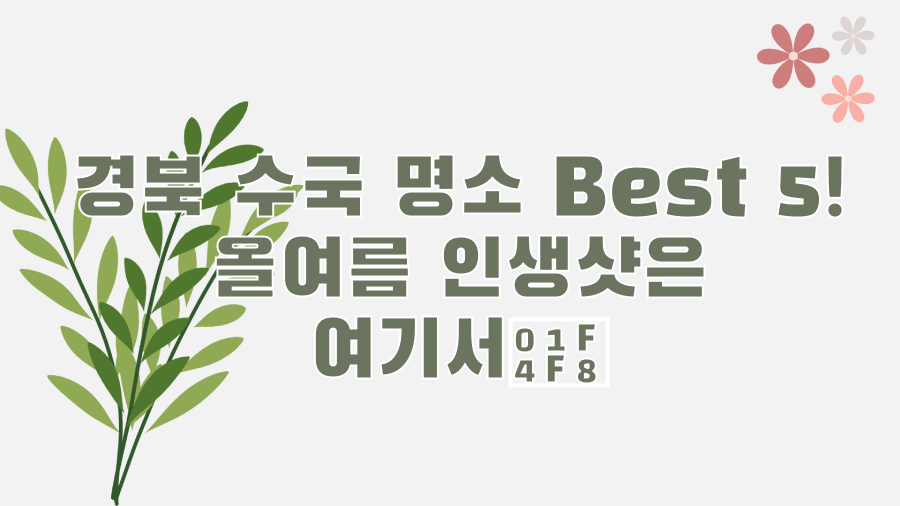 경북 수국 명소 Best 5! 올여름 인생샷은 여기서📸