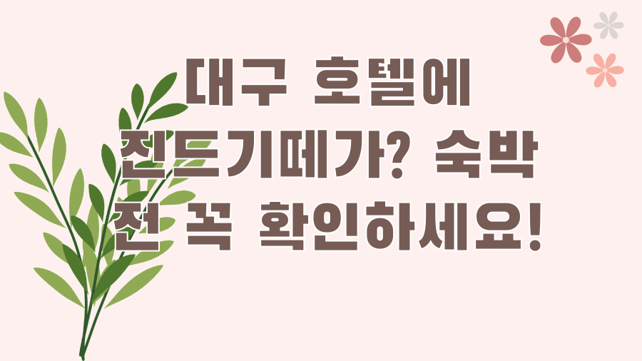 대구 호텔에 진드기떼가? 숙박 전 꼭 확인하세요!