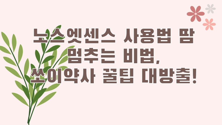 노스엣센스 사용법 땀 멈추는 비법, 쏘이약사 꿀팁 대방출!