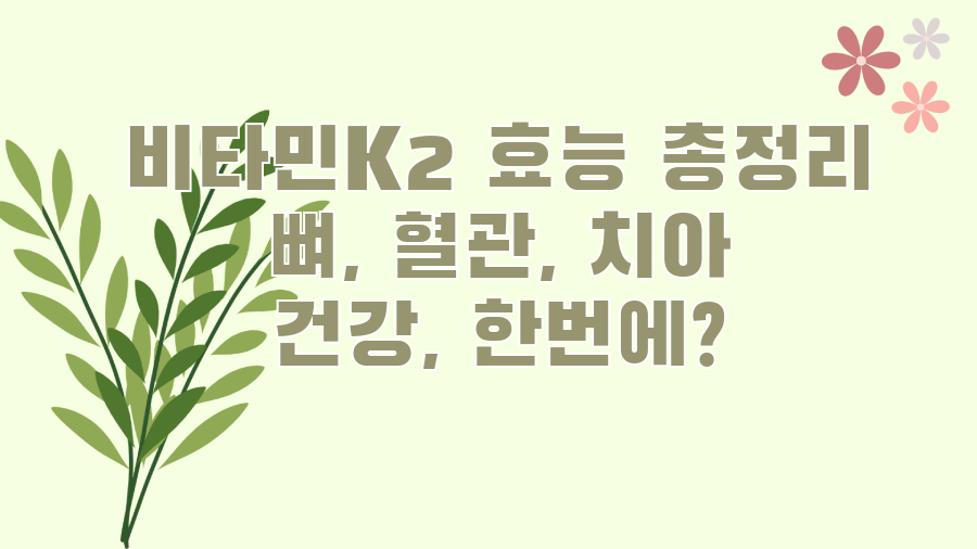 비타민K2 효능 총정리 뼈, 혈관, 치아 건강, 한번에?