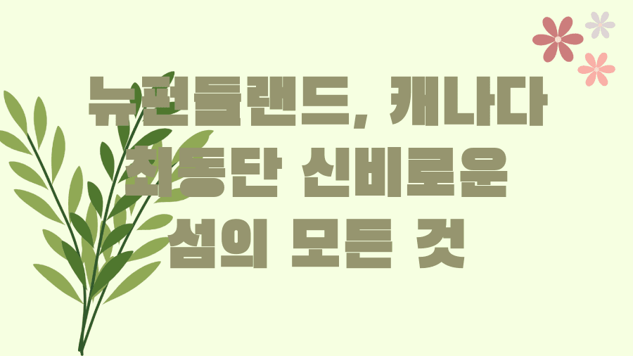 뉴펀들랜드, 캐나다 최동단 신비로운 섬의 모든 것